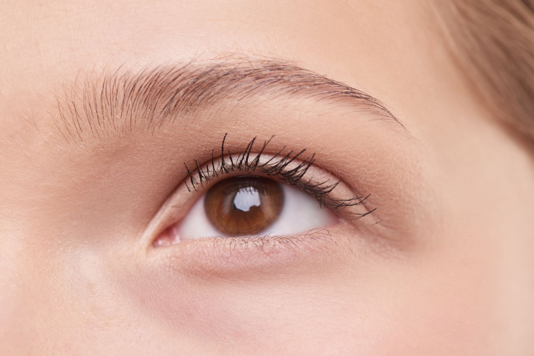 Lash- und Browlifting